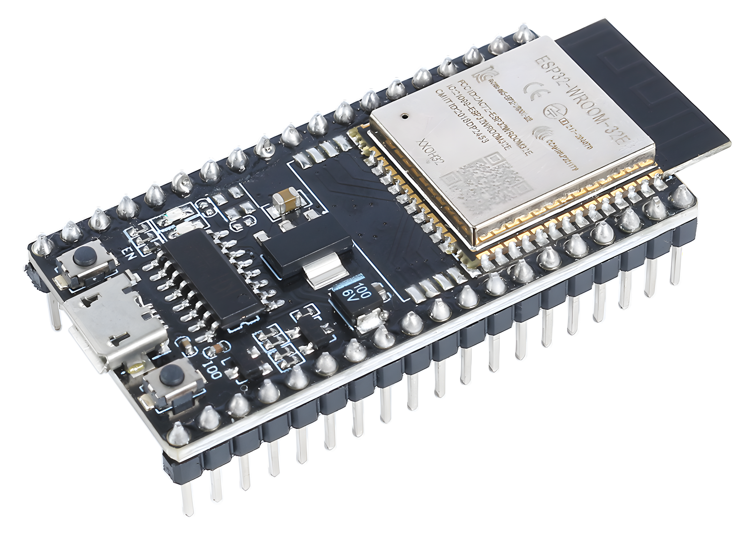 ESP32 chip.